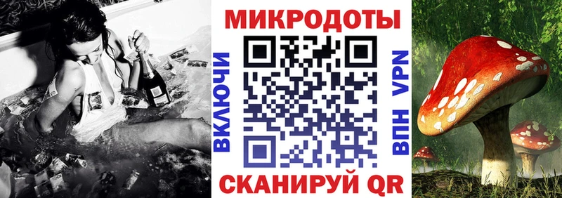 Псилоцибиновые грибы прущие грибы  Хасавюрт 