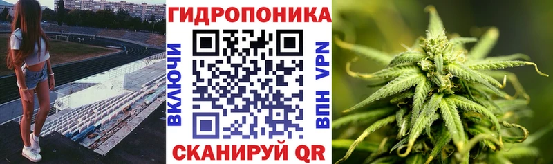 Канабис конопля  Хасавюрт 